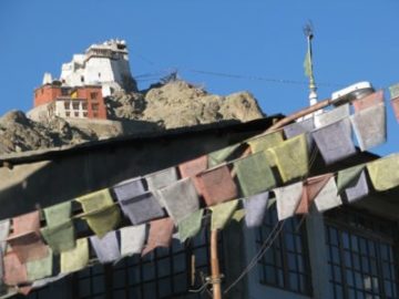  Namgyal_Tsemo_Gompa