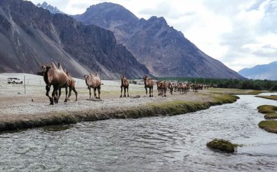 Nubra_Valley