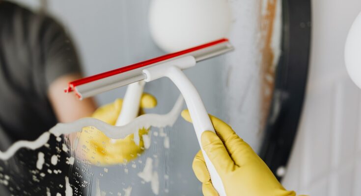 top professional home cleaners